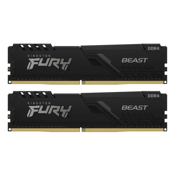 Kingston Fury Beast Black