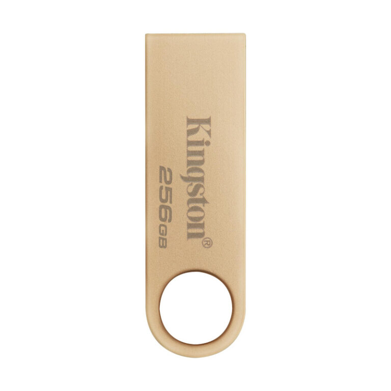 PenDrive Kingston DataTraveler SE9 G3 256GB USB 3.2