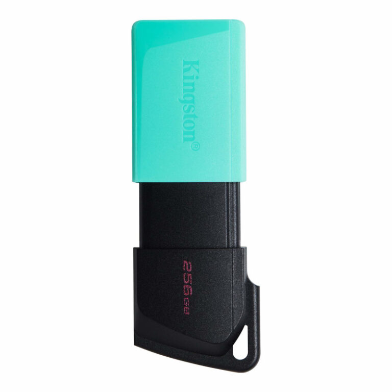 Kingston DTXM 256gb