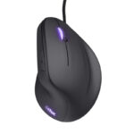 Rato Trust GXT 144 Rexx Vertical Gaming