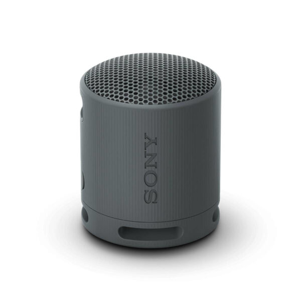 Coluna Portátil Sony SRS-XB100B
